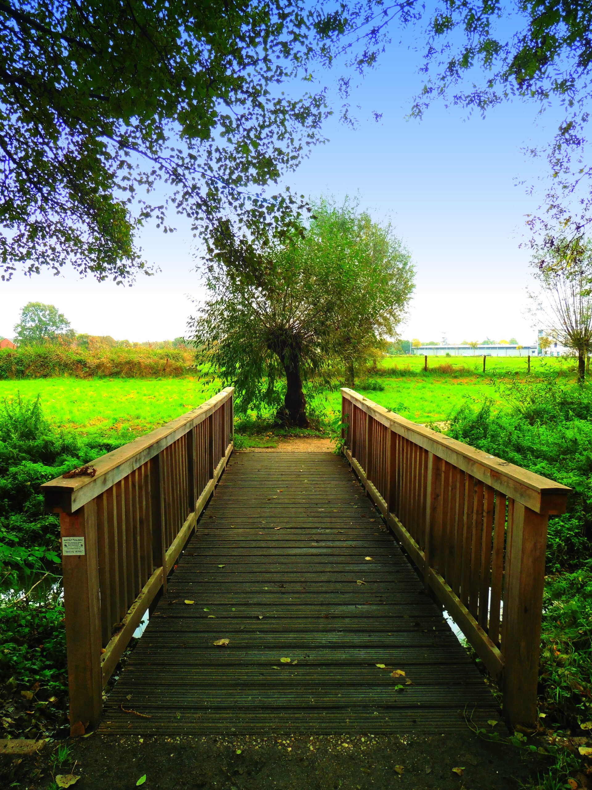 Eine Brücke, welche zu einem Baum und einer Wiese führt