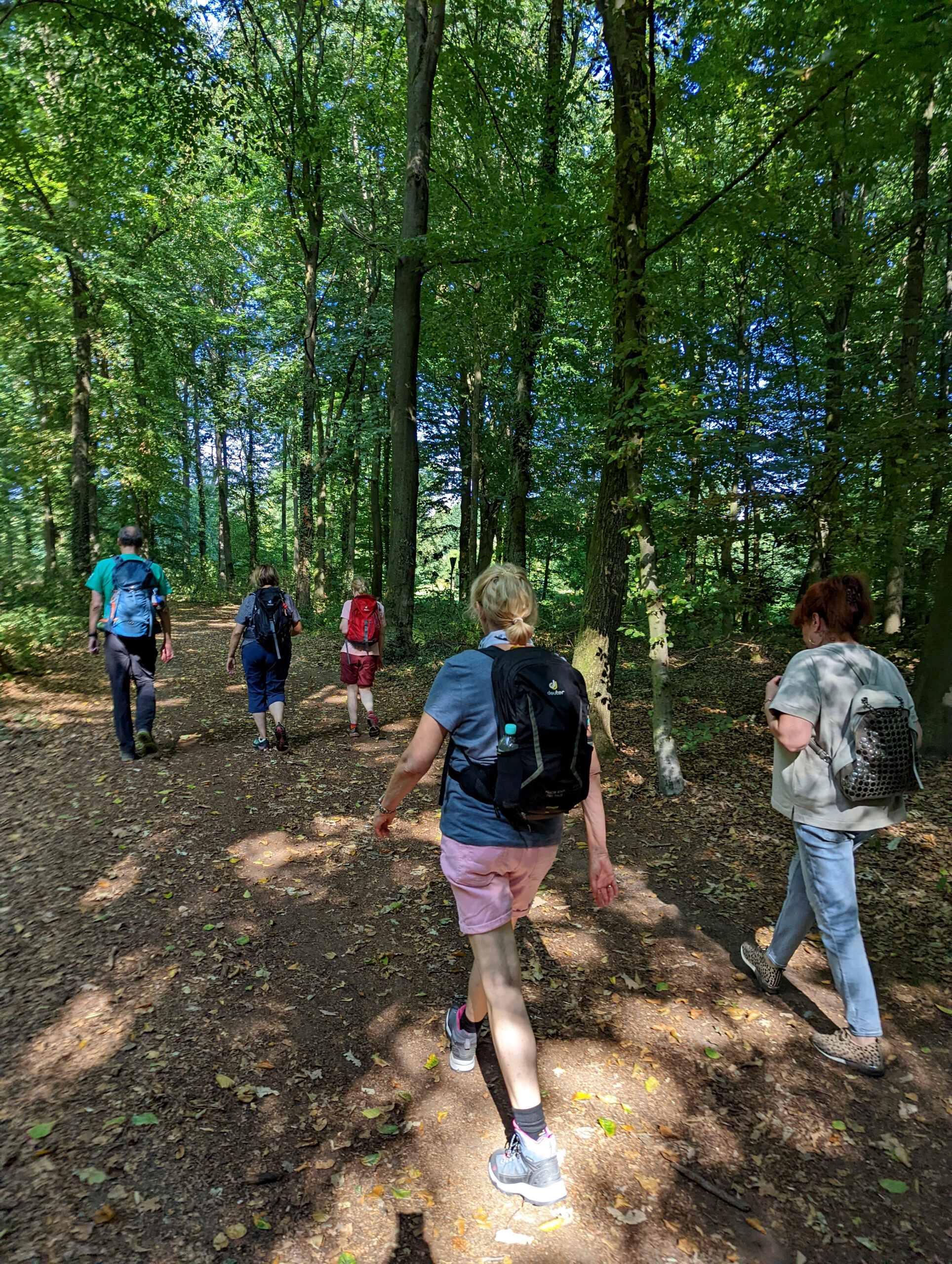 Das Bild zeigt eine Gruppe von fünf Menschen, die auf einem breiten Waldweg wandern. Sie laufen vom Betrachter weg. Das Laub der Bäume ist dicht, grün und spendet Schatten. Der blaue Himmel und die Sonne scheinen durch das dichte Blätterdach, sodass einzelne Lichtflecken auf dem Wanderweg zu erkennen sind. Alle Personen tragen Rucksäcke, die unterschiedlich groß und farbig sind. Zwei Rucksäcke sind schwarz, einer ist blau, ein anderer ist rot und einer ist bräunlich mit grau glänzenden Kreisen.