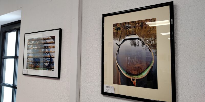 Auf dem Foto sind zwei gerahmte Fotografien zu erkennen, welche an einer weißen Wand hängen. Die rechte Fotografie zeigt ein altes, rostiges, mit Wasser gefülltes Ruderboot, das in einem See liegt. Bäume, die im Hintergrund zu erkennen sind, spiegeln sich im Wasser. Die linke Fotografie zeigt einen Schimpansen der nach rechts schaut. Durch den Schimpansen und das gesamte Bild sieben horizontalen Linien, die in bräunlich, rostigen Farben ins Bild auslaufen zu erkennen.
