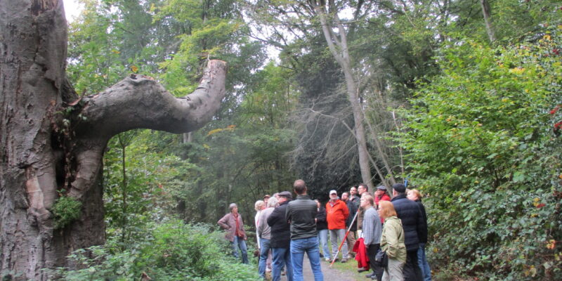 Gruppe Menschen im Wald