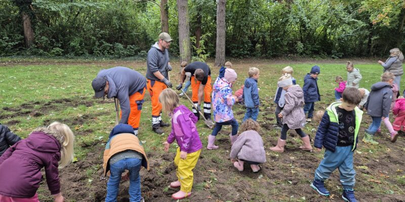 Das Bild zeigtviele Kinder, die auf einer Wiese laufen und Blumenzwiebeln in den Boden legen und werfen. Einige stampfen Löcher zu. Drei Männer mit orangenen Hosen haben einen Spaten in der Hand und schaufeln kleine Löcher in die Wiese. Im Hintergrund ist eine grüne Hecke sowie wenige Bäume zu sehen.